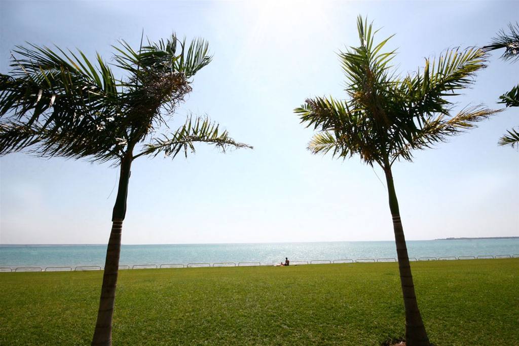 Quality Hotel Darwin Airport Съоръжения снимка Palm trees at the beach